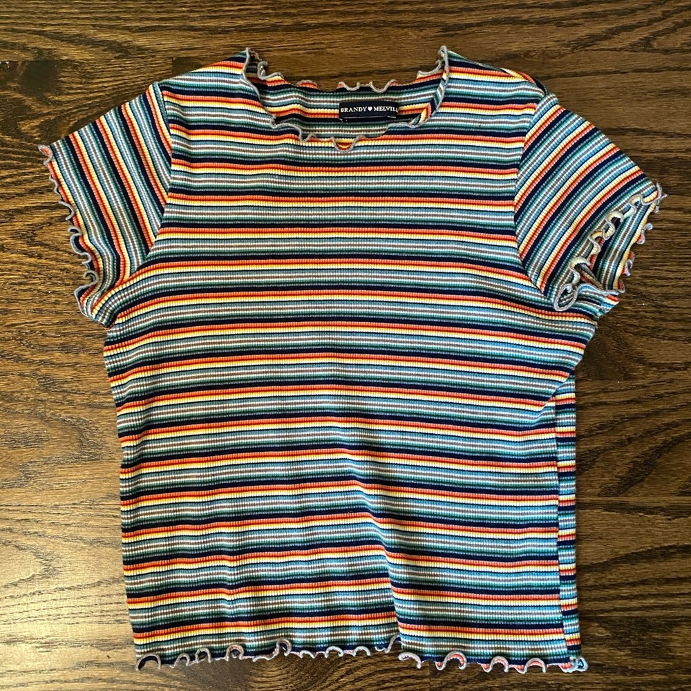 Rainbow Brandy Melville Retro Cropped T Shirt